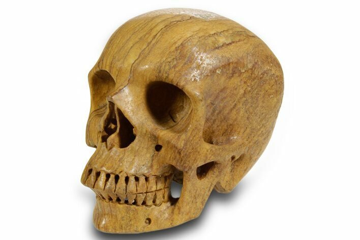 Realistic, Polished Picture Jasper Skull #378610